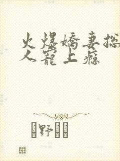 火爆娇妻总裁大人宠上瘾