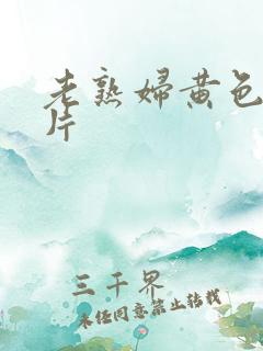 老熟妇黄色一级片