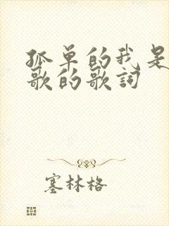 孤单的我是哪首歌的歌词