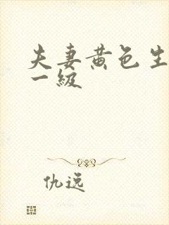 夫妻黄色生活片一级