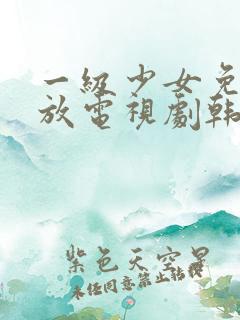 一级少女免费播放电视剧韩剧