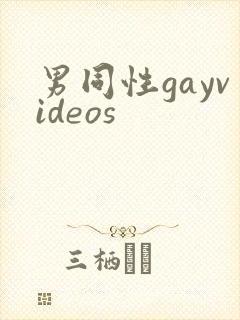男同性gayvideos