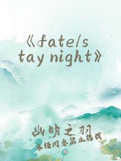 《fate/stay night》