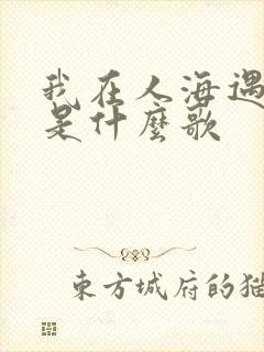 我在人海遇见你是什么歌