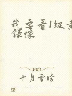 我要看1级黄色录像