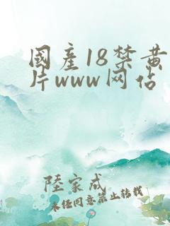 国产18禁黄禁片www网站
