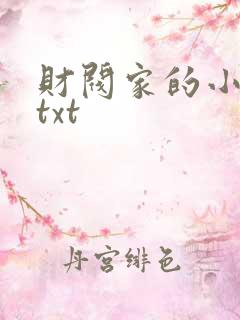 财阀家的小儿子txt
