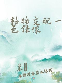 动物交配一级黄色录像