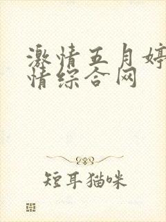 激情五月婷婷激情综合网