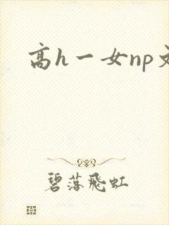 高h一女np文