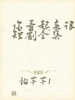 你看起来很好亲短剧全集