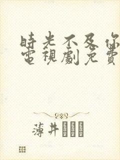 时光不及你温柔电视剧免费观看