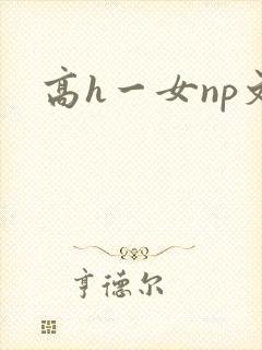 高h一女np文