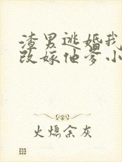 渣男逃婚我当场改嫁他爹小说