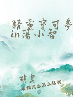 精灵宝可梦之yin荡小智