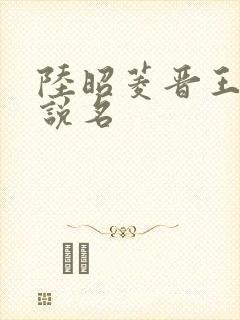 陆昭菱晋王的小说名