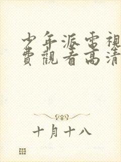 少年派电视剧免费观看高清