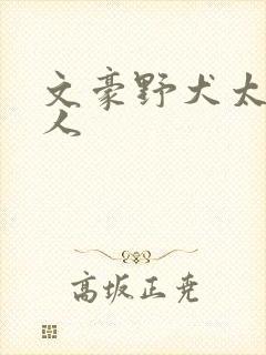 文豪野犬太中同人
