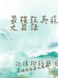 最强狂兵苏锐全文目录