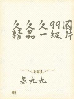 久久久99国产精品一级片