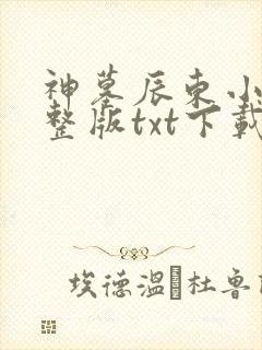 神墓辰东小说完整版txt下载