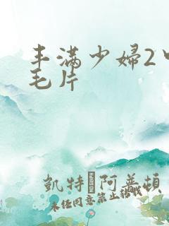 丰满少妇2中文毛片