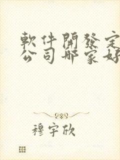 软件开发定制的公司哪家好