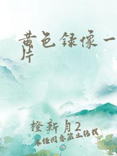 黄色录像一级一片