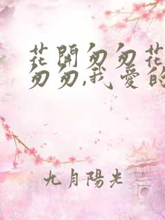 花开匆匆花落亦匆匆,我爱的你消失在人海中