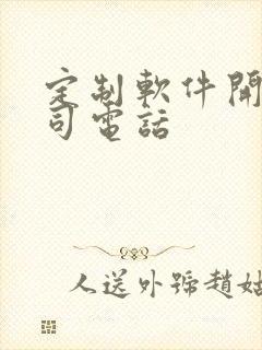 定制软件开发公司电话