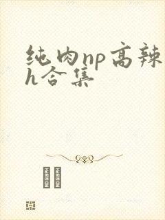 纯肉np高辣文h合集