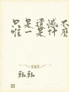 只是遗憾不是你唯一是什么歌