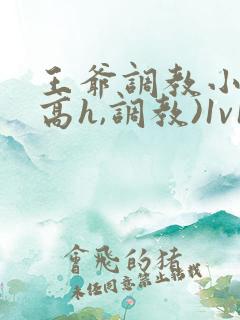 王爷调教小说(高h,调教)1v1