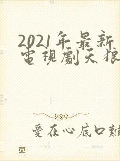 2021年最新电视剧天狼影视