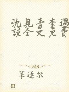 沈见青李遇泽小说全文免费阅读