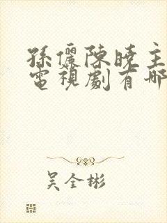 孙俪陈晓主演的电视剧有哪些电视剧