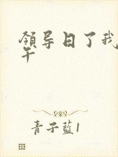 领导日了我一下午