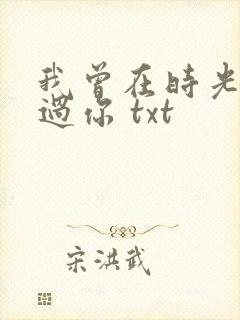我曾在时光里听过你 txt
