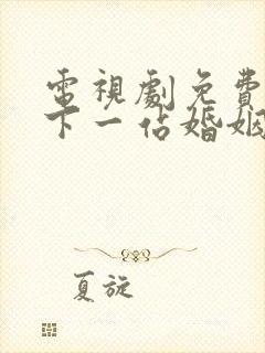 电视剧免费全集下一站婚姻