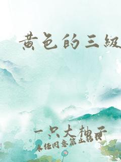黄色的三级电影