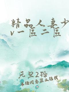 精品人妻少妇av一区二区