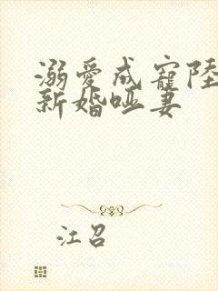 溺爱成宠陆总的新婚哑妻