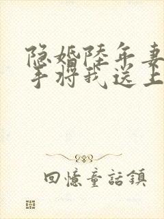 隐婚陆年妻子亲手将我送上法全文阅读