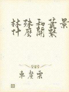 林殊和萧景琰是什么关系