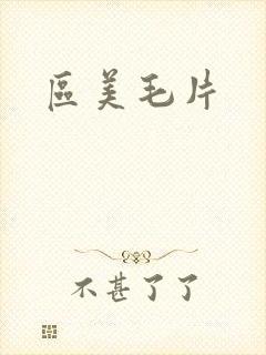 区美毛片