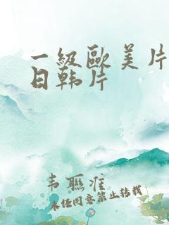 一级欧美片一级日韩片