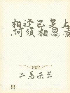 相逢已是上上签,何须相思煮余年是什么意思