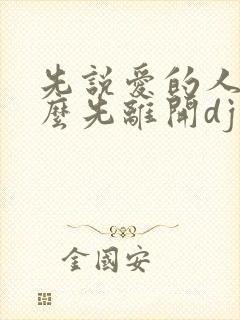 先说爱的人为什么先离开dj