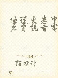 他从火光中走来免费观看电视剧