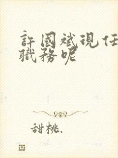 许国斌现任什么职务呢